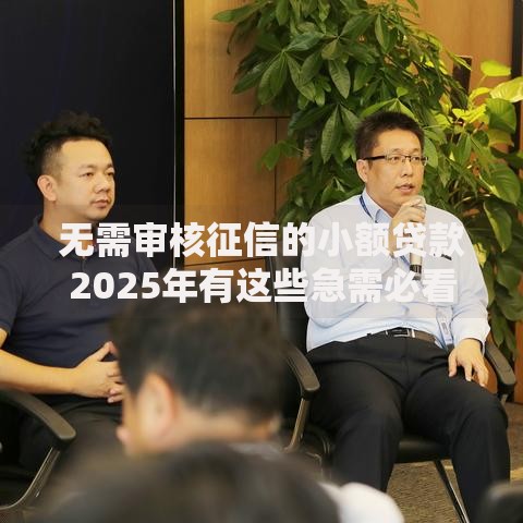 无需审核征信的小额贷款2025年有这些急需必看秒放款方式