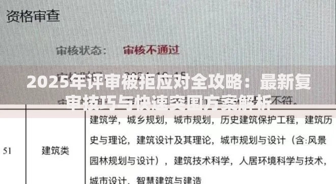 2025年评审被拒应对全攻略：最新复审技巧与快速突围方案解析