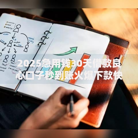 2025急用钱30天借款良心口子秒到账火爆下款快正规平台