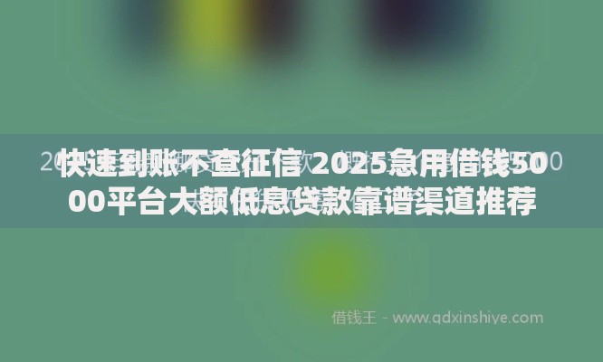 快速到账不查征信 2025急用借钱5000平台大额低息贷款靠谱渠道推荐