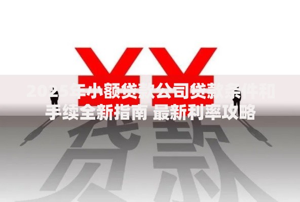 2025年小额贷款公司贷款条件和手续全新指南 最新利率攻略 2025年小额贷款公司贷款条件和手续全新指南 最新利率攻略