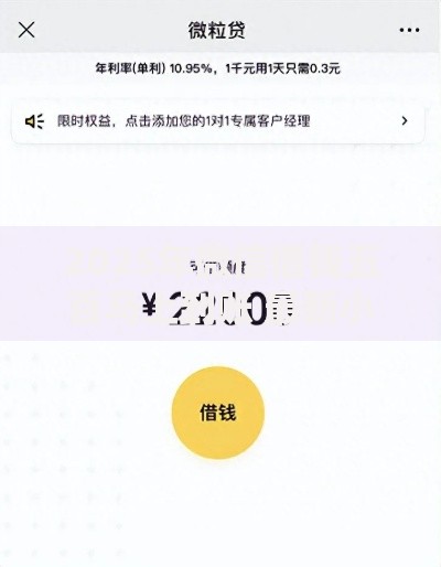 2025年微信借钱五百马上到账 最新小额贷款快速到账即刻解决燃眉之急