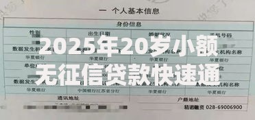 2025年20岁小额无征信贷款快速通过教程与正规申请平台评测