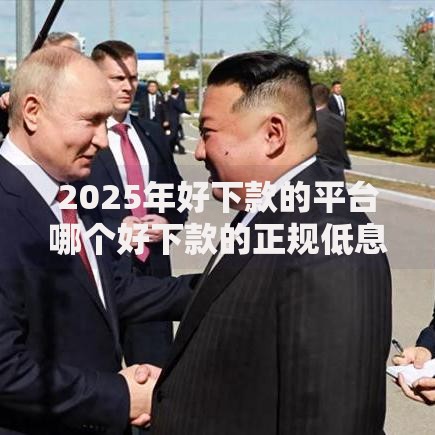 2025年好下款的平台哪个好下款的正规低息借款平台排行榜