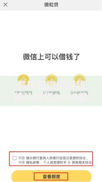 怎样在微信借钱确认收货2025最新方法安全到账