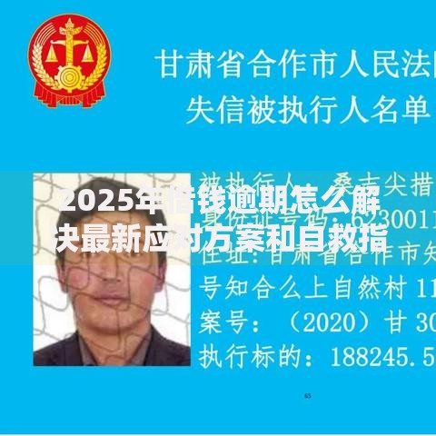 2025年借钱逾期怎么解决最新应对方案和自救指南