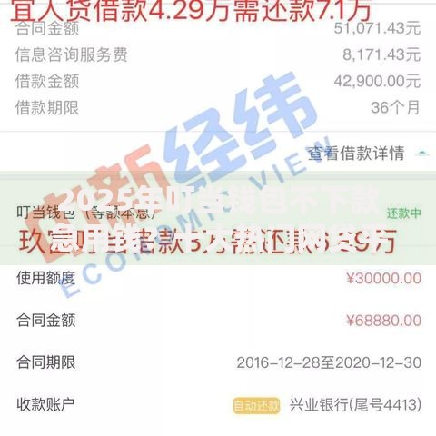 2025年叮当钱包不下款急用钱？十大热门网贷平台秒到账替代