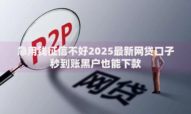 急用钱征信不好2025最新网贷口子秒到账黑户也能下款