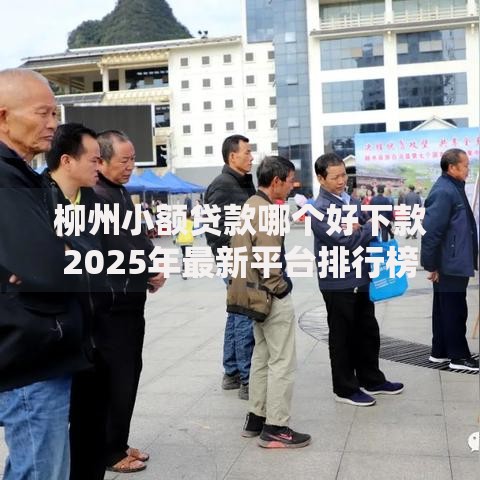 柳州小额贷款哪个好下款2025年最新平台排行榜及申请攻略