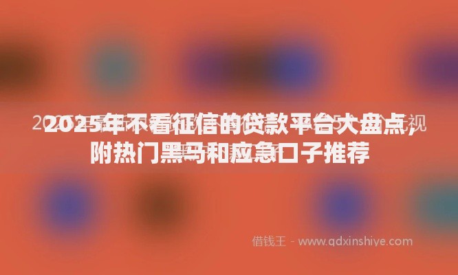 2025年不看征信的贷款平台大盘点，附热门黑马和应急口子推荐