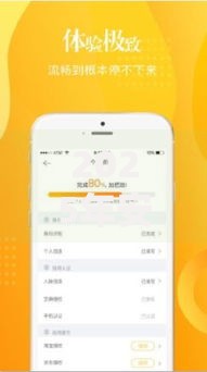 2025年安心花下款条件实测：新政策审核放宽秒到账技巧解析