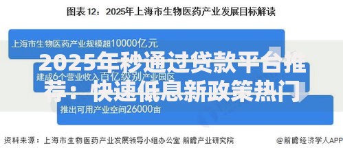 2025年秒通过贷款平台推荐：快速低息新政策热门精选