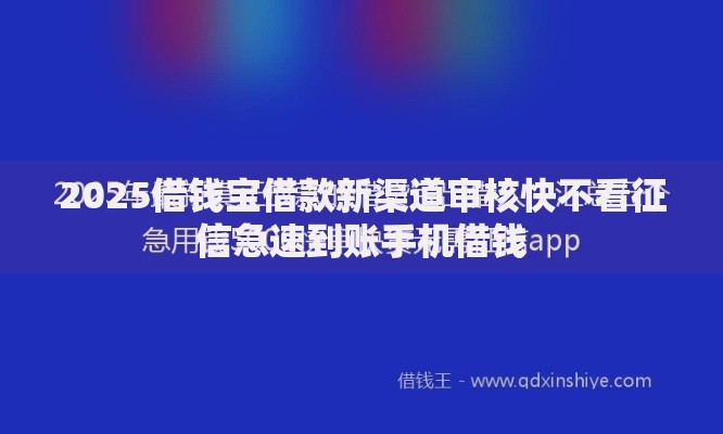 2025借钱宝借款新渠道审核快不看征信急速到账手机借钱