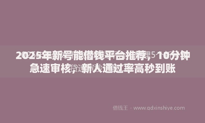 2025年新号能借钱平台推荐，10分钟急速审核，新人通过率高秒到账