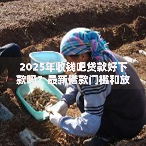 2025年收钱吧贷款好下款吗？最新借款门槛和放款速度全解析