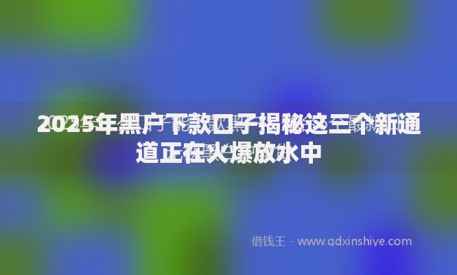 2025年黑户下款口子揭秘这三个新通道正在火爆放水中
