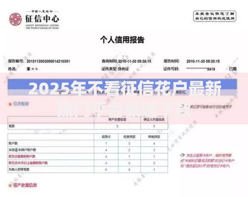 2025年不看征信花户最新热门平台极速下款
