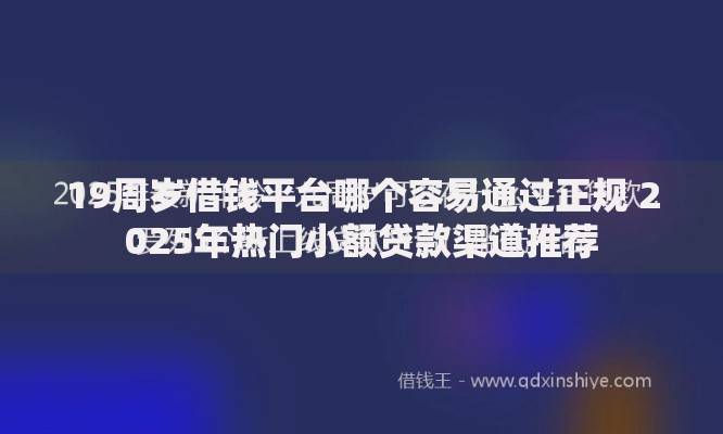 19周岁借钱平台哪个容易通过正规 2025年热门小额贷款渠道推荐