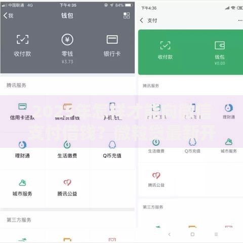 2025年怎样才能向微信支付借钱？微粒贷最新开通攻略与借钱技巧