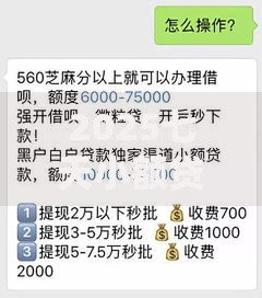 2025七天小额贷款1000热门渠道推荐最快10分钟到账