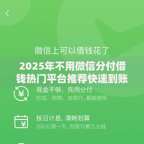 2025年不用微信分付借钱热门平台推荐快速到账正规渠道