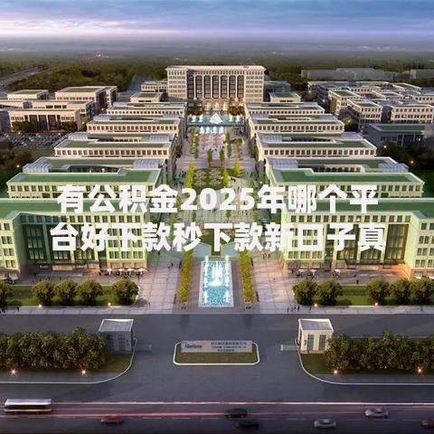 有公积金2025年哪个平台好下款秒下款新口子真实下款经验