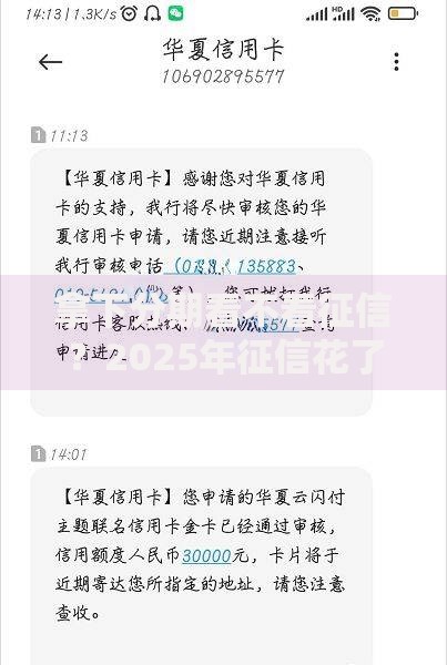 拿下分期看不看征信？2025年征信花了秒批方法解析