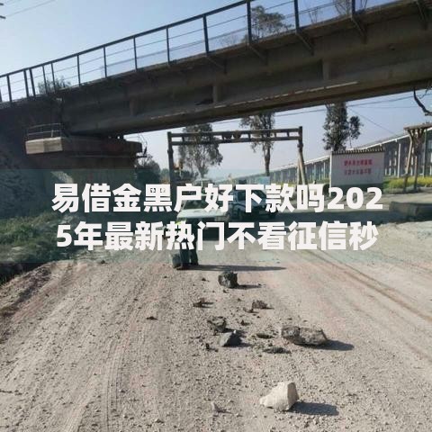 易借金黑户好下款吗2025年最新热门不看征信秒过平台推荐