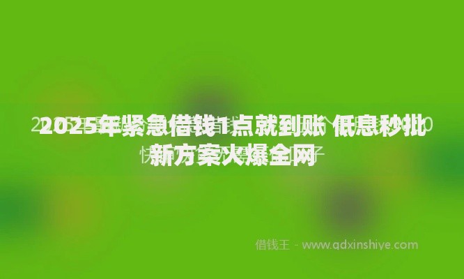 2025年紧急借钱1点就到账 低息秒批新方案火爆全网