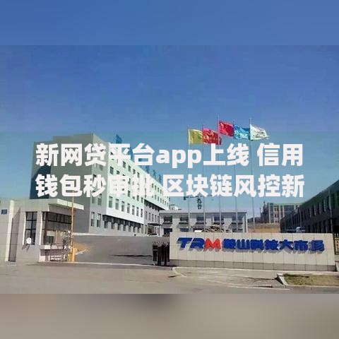 新网贷平台app上线 信用钱包秒审批 区块链风控新体验
