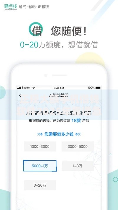 正规大额手机借钱软件2025年靠谱急用钱平台安全到账快