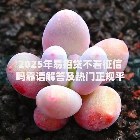 2025年易招贷不看征信吗靠谱解答及热门正规平台推荐 2025年易招贷不看征信吗靠谱解答及热门正规平台推荐