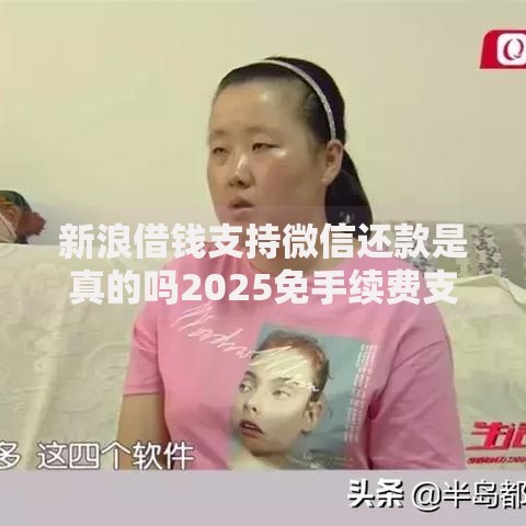 新浪借钱支持微信还款是真的吗2025免手续费支付宝备用金排行 新浪借钱支持微信还款是真的吗2025免手续费支付宝备用金排行