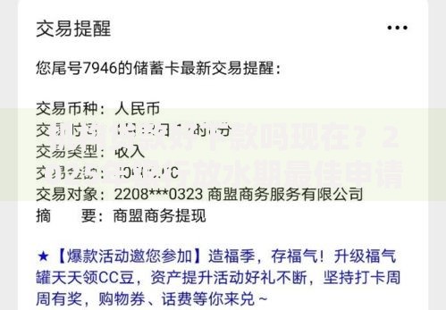 机构贷款好下款吗现在？2025年银行放水期最佳申请指南