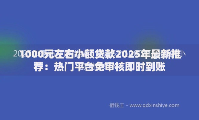 1000元左右小额贷款2025年最新推荐:热门平台免审核即时到账 1000元左右小额贷款2025年最新推荐:热门平台免审核即时到账