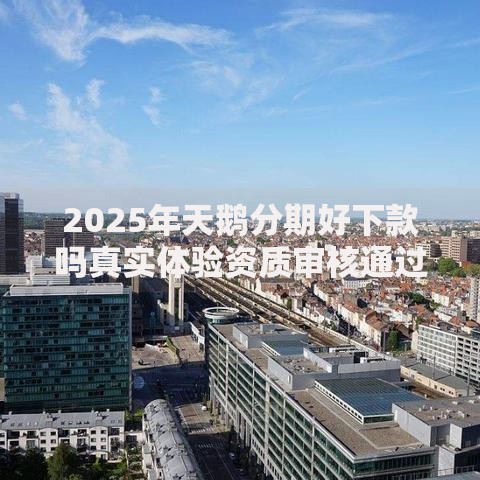 2025年天鹅分期好下款吗真实体验资质审核通过率与下款技巧