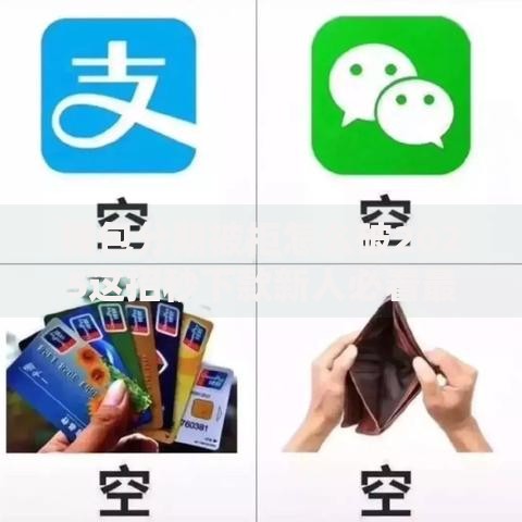 钱包分期被拒怎么破2025这招秒下款新人必看最新通道实测