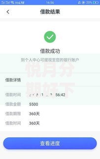 悦月分期好下款吗？2025年无视征信最新口子速度到账