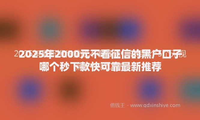 2025年2000元不看征信的黑户口子哪个秒下款快可靠最新推荐