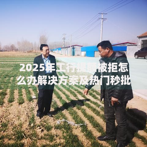 2025年工行提额被拒怎么办解决方案及热门秒批口子推荐
