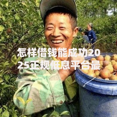 怎样借钱能成功2025正规低息平台最新借款技巧和注意事项