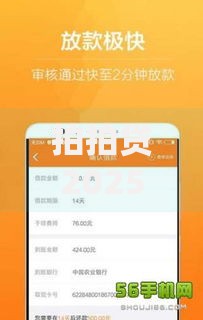 拍拍贷2025年怎么放款最快最好下款的最新技巧