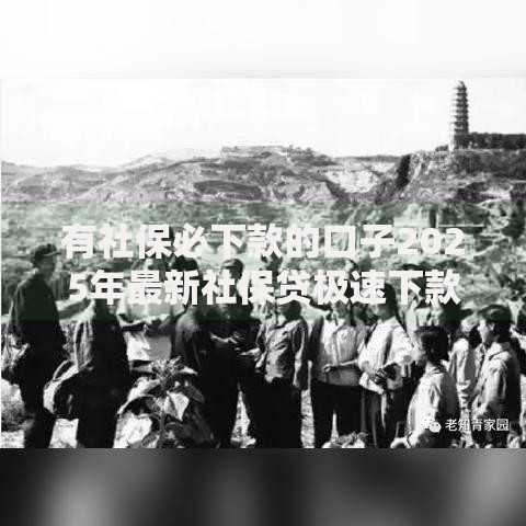 有社保必下款的口子2025年最新社保贷极速下款通道