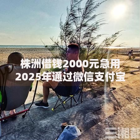 株洲借钱2000元急用2025年通过微信支付宝快速审核秒到账额度高