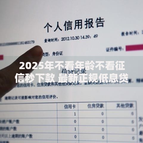 2025年不看年龄不看征信秒下款 最新正规低息贷款平台排行榜