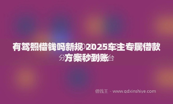 有驾照借钱吗新规 2025车主专属借款方案秒到账