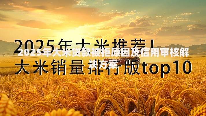 2025年大米贷款被拒原因及信用审核解决方案