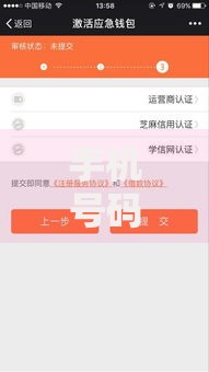 手机号码借钱额度30万即时到账