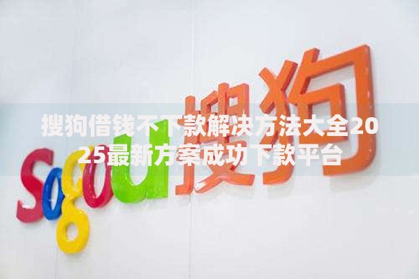 搜狗借钱不下款解决方法大全2025最新方案成功下款平台