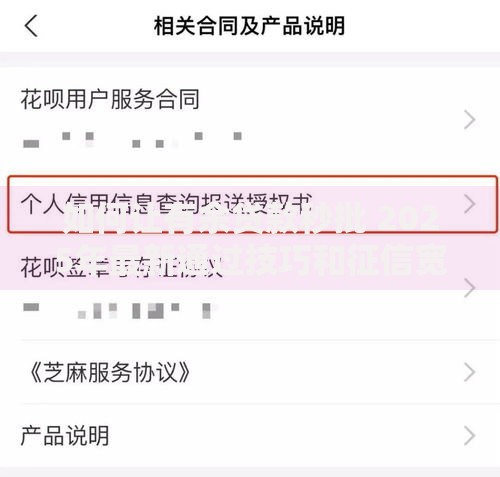 如何让有余贷款秒批 2025年最新通过技巧和征信宽松渠道下款快